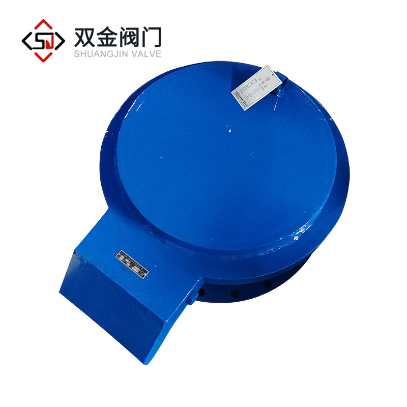 真空压力释放阀